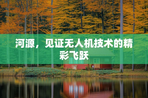 河源，见证无人机技术的精彩飞跃
