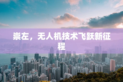 崇左，无人机技术飞跃新征程
