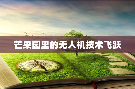 芒果园里的无人机技术飞跃