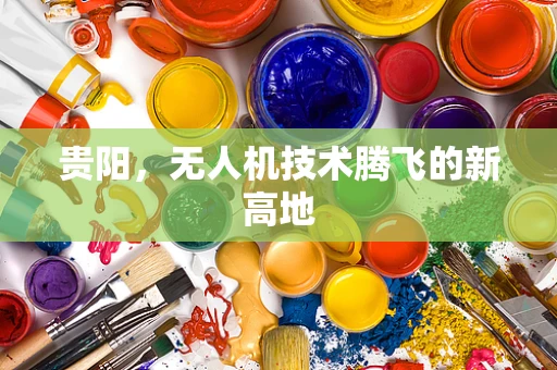 贵阳，无人机技术腾飞的新高地