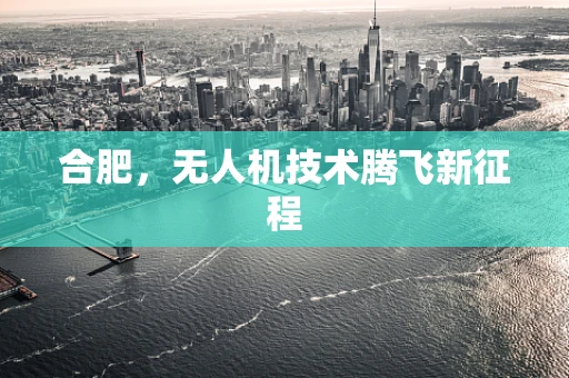 合肥，无人机技术腾飞新征程