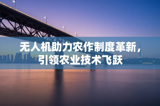 无人机助力农作制度革新，引领农业技术飞跃
