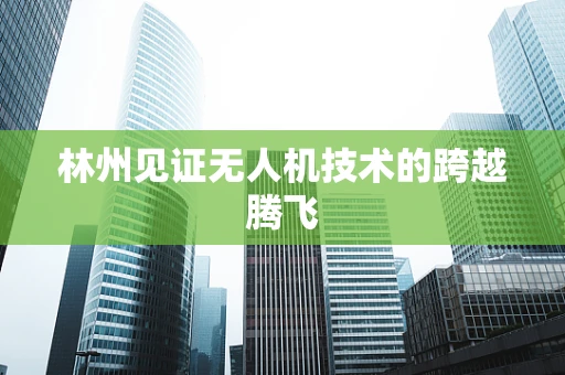 林州见证无人机技术的跨越腾飞