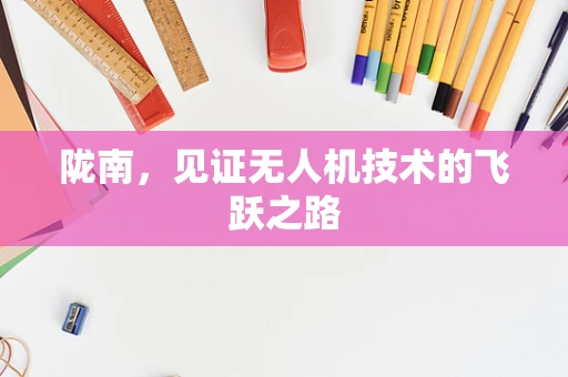 陇南，见证无人机技术的飞跃之路