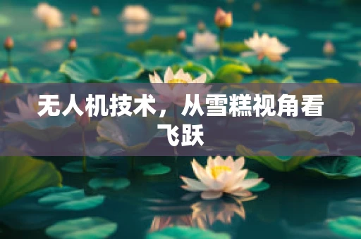 无人机技术，从雪糕视角看飞跃