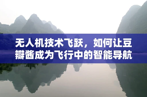 无人机技术飞跃，如何让豆瓣酱成为飞行中的智能导航？