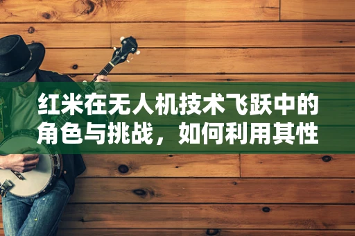 红米在无人机技术飞跃中的角色与挑战，如何利用其性价比优势？