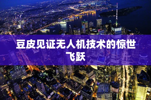 豆皮见证无人机技术的惊世飞跃