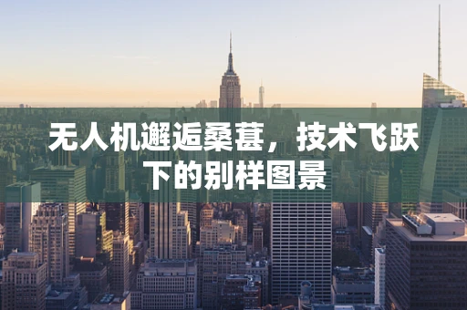 无人机邂逅桑葚，技术飞跃下的别样图景