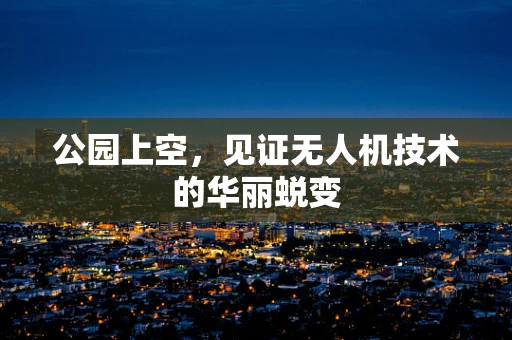 公园上空，见证无人机技术的华丽蜕变