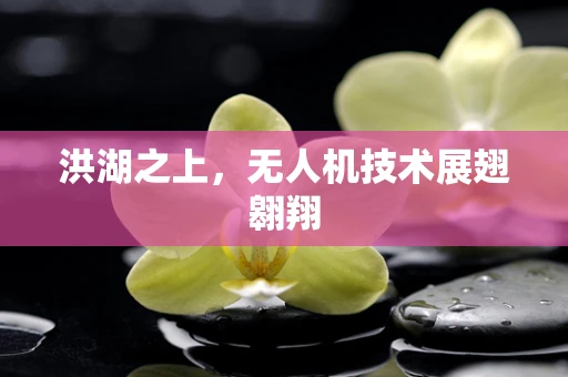 洪湖之上，无人机技术展翅翱翔