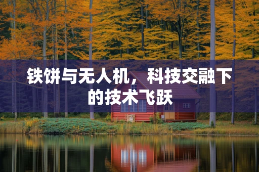 铁饼与无人机，科技交融下的技术飞跃