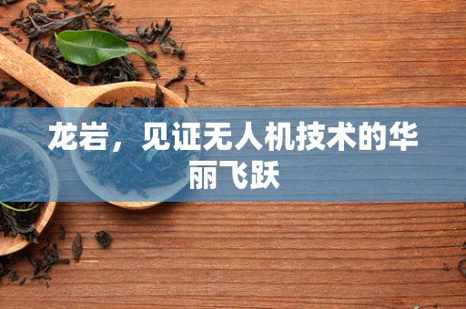 龙岩，见证无人机技术的华丽飞跃