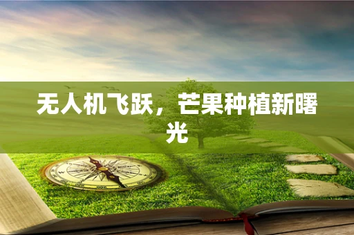 无人机飞跃，芒果种植新曙光