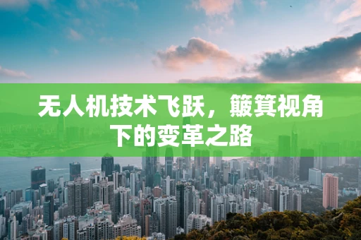 无人机技术飞跃，簸箕视角下的变革之路