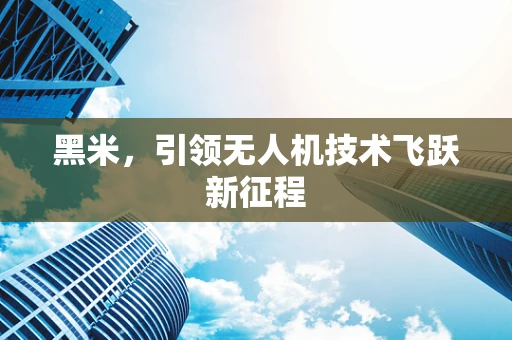 黑米，引领无人机技术飞跃新征程