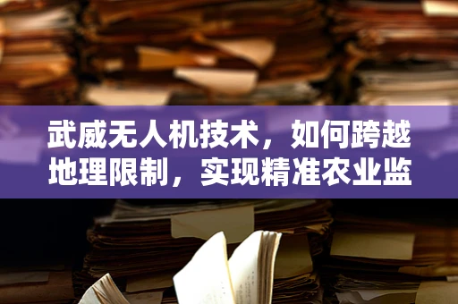 武威无人机技术，如何跨越地理限制，实现精准农业监测？