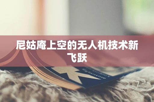 尼姑庵上空的无人机技术新飞跃