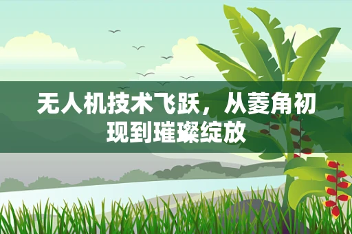 无人机技术飞跃，从菱角初现到璀璨绽放