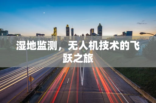 湿地监测，无人机技术的飞跃之旅