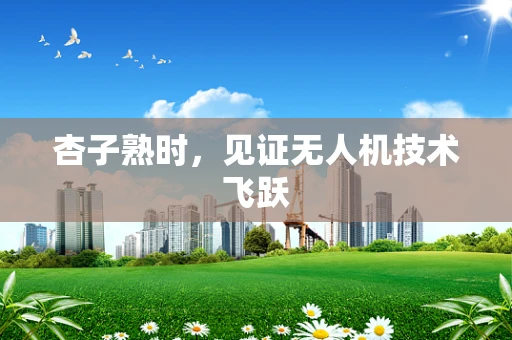 杏子熟时，见证无人机技术飞跃