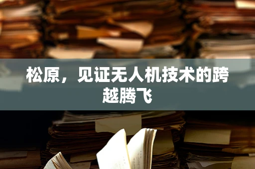 松原，见证无人机技术的跨越腾飞
