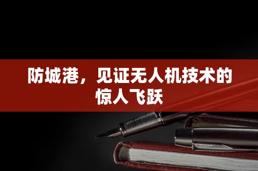 防城港，见证无人机技术的惊人飞跃
