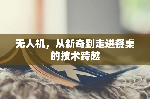 无人机，从新奇到走进餐桌的技术跨越