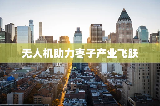 无人机助力枣子产业飞跃