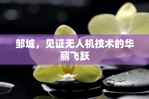 邹城，见证无人机技术的华丽飞跃