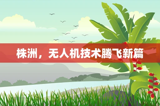 株洲，无人机技术腾飞新篇