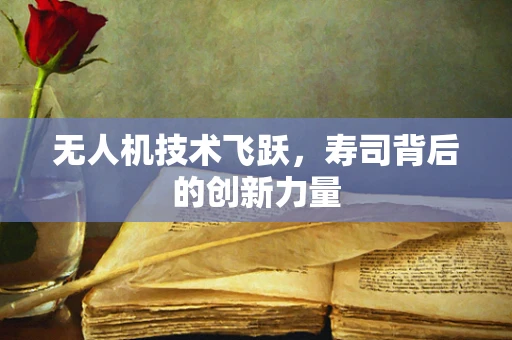无人机技术飞跃，寿司背后的创新力量