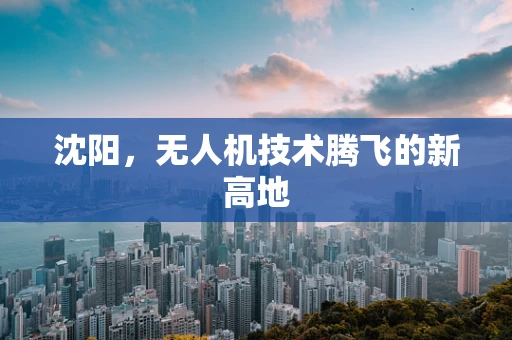 沈阳，无人机技术腾飞的新高地
