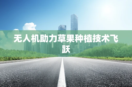 无人机助力草果种植技术飞跃