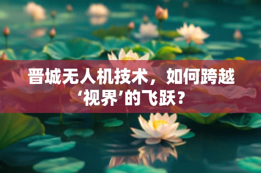 晋城无人机技术，如何跨越‘视界’的飞跃？