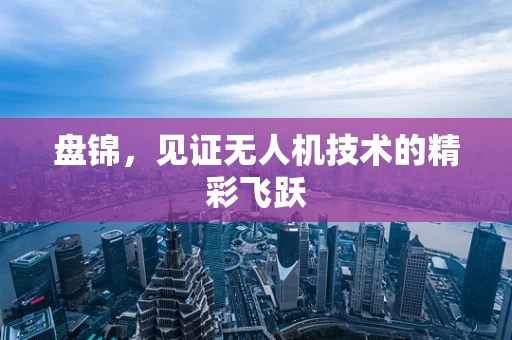 盘锦，见证无人机技术的精彩飞跃