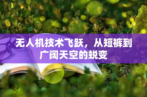 无人机技术飞跃，从短裤到广阔天空的蜕变