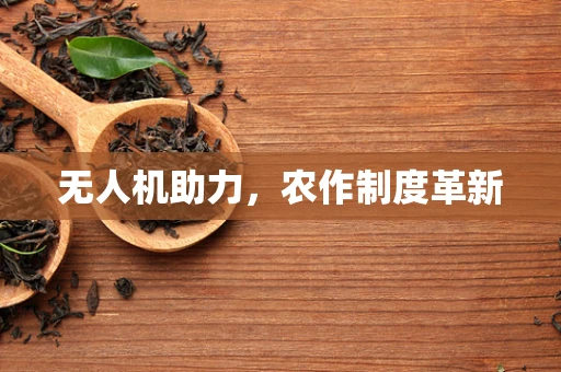 无人机助力，农作制度革新