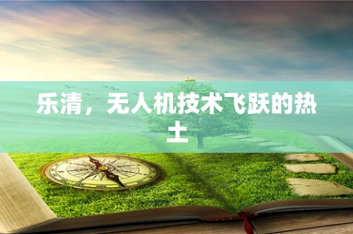 乐清，无人机技术飞跃的热土