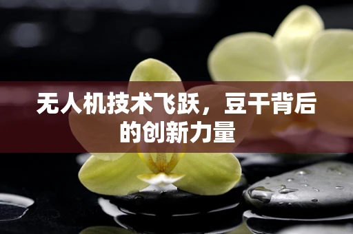 无人机技术飞跃，豆干背后的创新力量
