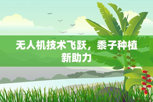 无人机技术飞跃，黍子种植新助力