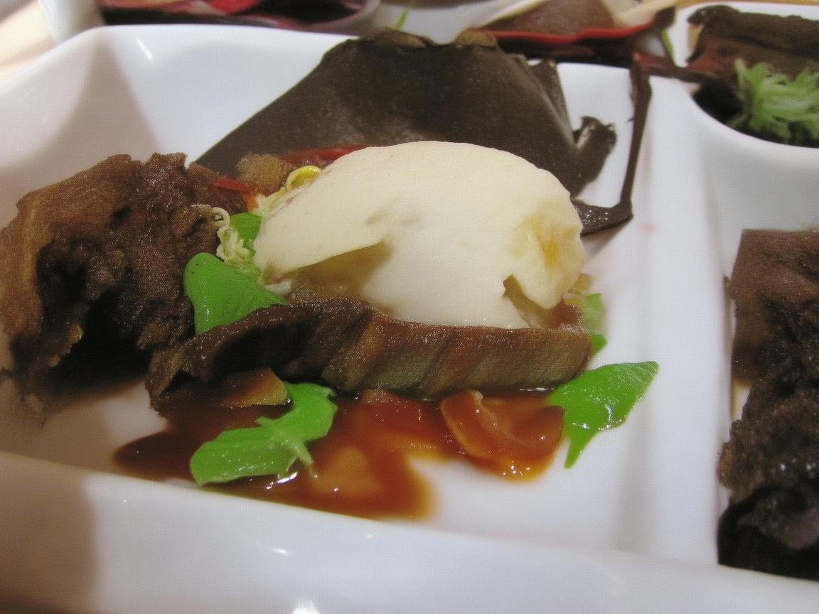 儋州，见证无人机技术的华丽飞跃